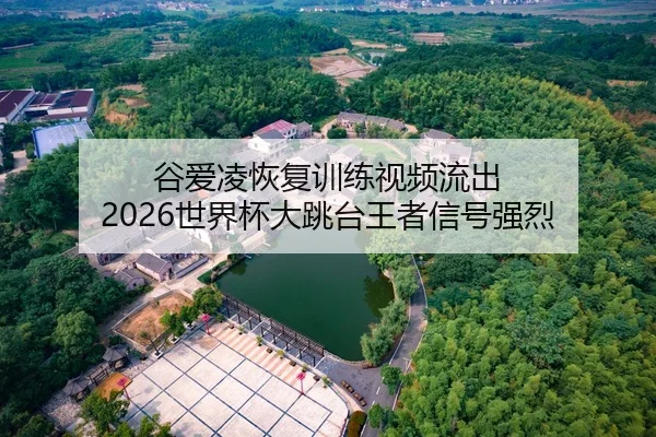 谷爱凌恢复训练视频流出 2026世界杯大跳台王者信号强烈